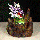 Purple Dragon LED Backflow Incense Burner