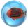 3D Tropical Fish Rubber Bouncy Ball (Plastic Tub)