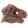 Rawr Dinosaur Skull Fossil Dig-A-Saurs Dig it Out Kit