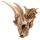 Large Dragon Skull Decoration