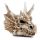 Shadows of Darkness Dragon Skull Money Box
