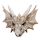 Shadows of Darkness Dragon Skull Ornament Large