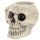 Ancient Skull Head Ceramic Shaped Mug