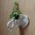 Ceramic Elephant Head Garden Wall Planter/Plant Pot