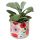Pick of the Bunch Poppy Fields Ceramic Indoor Plant Pot Small