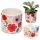 Pick of the Bunch Poppy Fields Ceramic Indoor Plant Pot Small