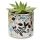 Pick of the Bunch Wisewood Botanical Ceramic Indoor Plant Pot Large