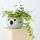 Adoramals Koala Head Shaped Ceramic Garden Planter/Plant Pot
