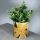 Florens Hesperantha Ceramic Indoor Plant Pot Large