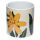 Florens Hesperantha Ceramic Indoor Plant Pot Large