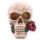 Skull with Roses