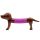 Dog Spring Fidget Toy