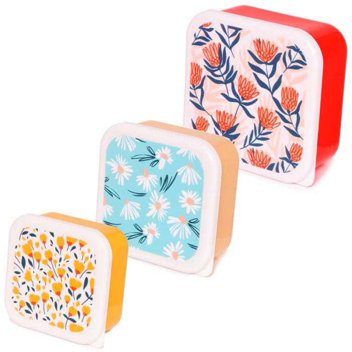 Set of 3 Lunch Box S/M/L Daisy Lane, Protea, Buttercup Pick of the Bunch