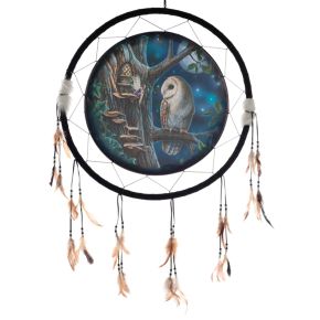 Lisa Parker Fairy Tales Owl & Fairy Dreamcatcher 60cm